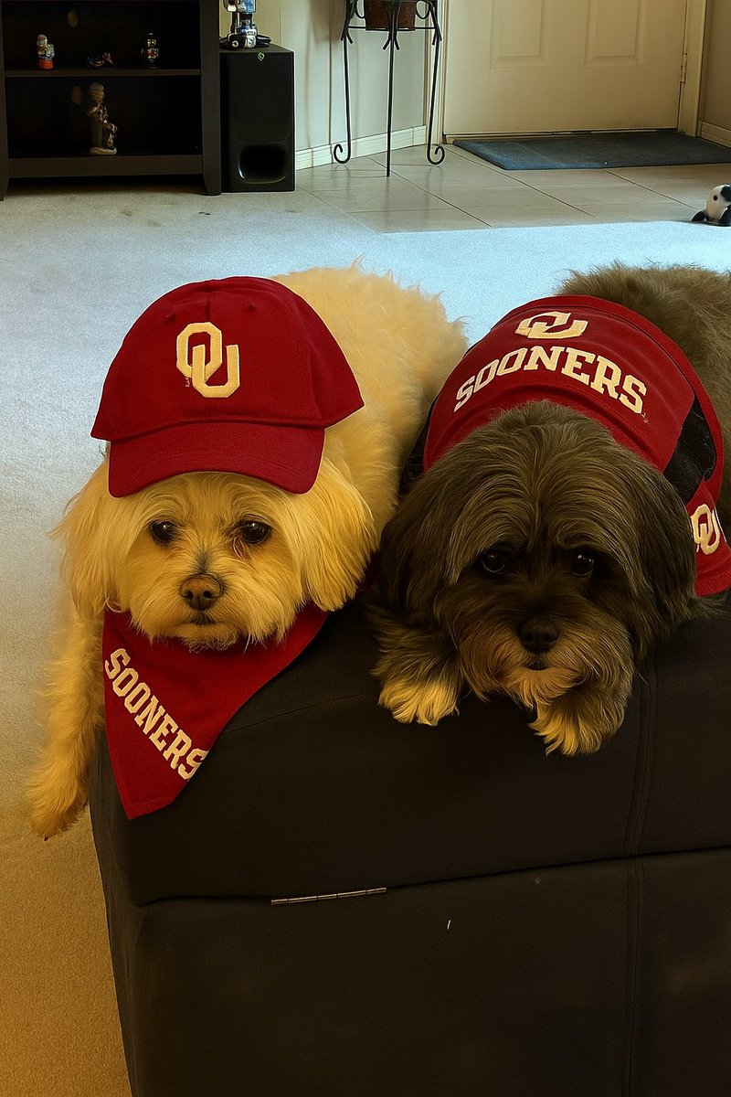 MuppetDogsMom's tweet image. Great W Sooners!