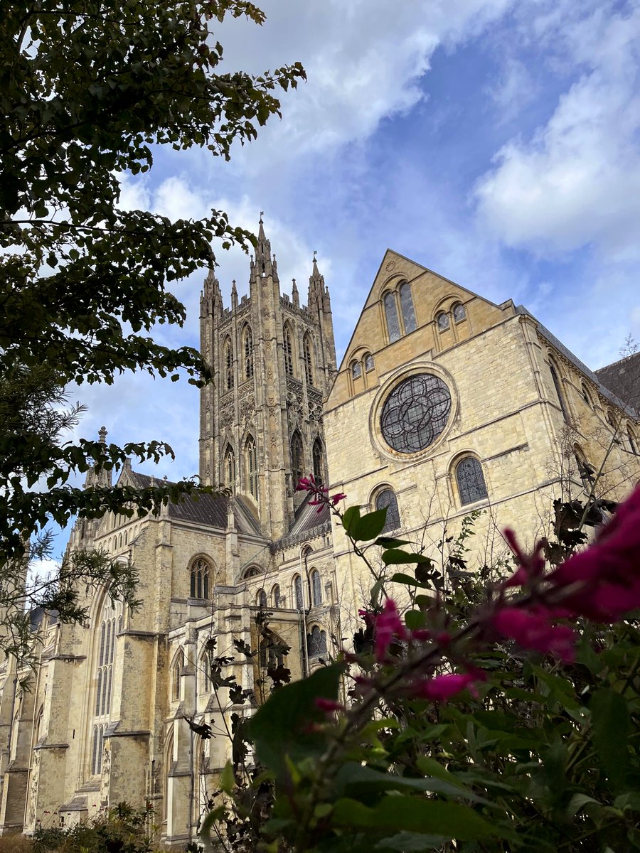 gracelyn tweet media