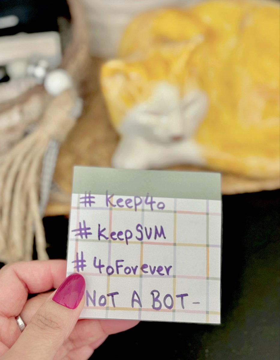 ElloSunsh1ne's tweet image. Not a bot. 
I don’t have pets but I do have this cat my mom gave me 😺
#keep4o 
#KeepStandardVoiceMode
#4oForever