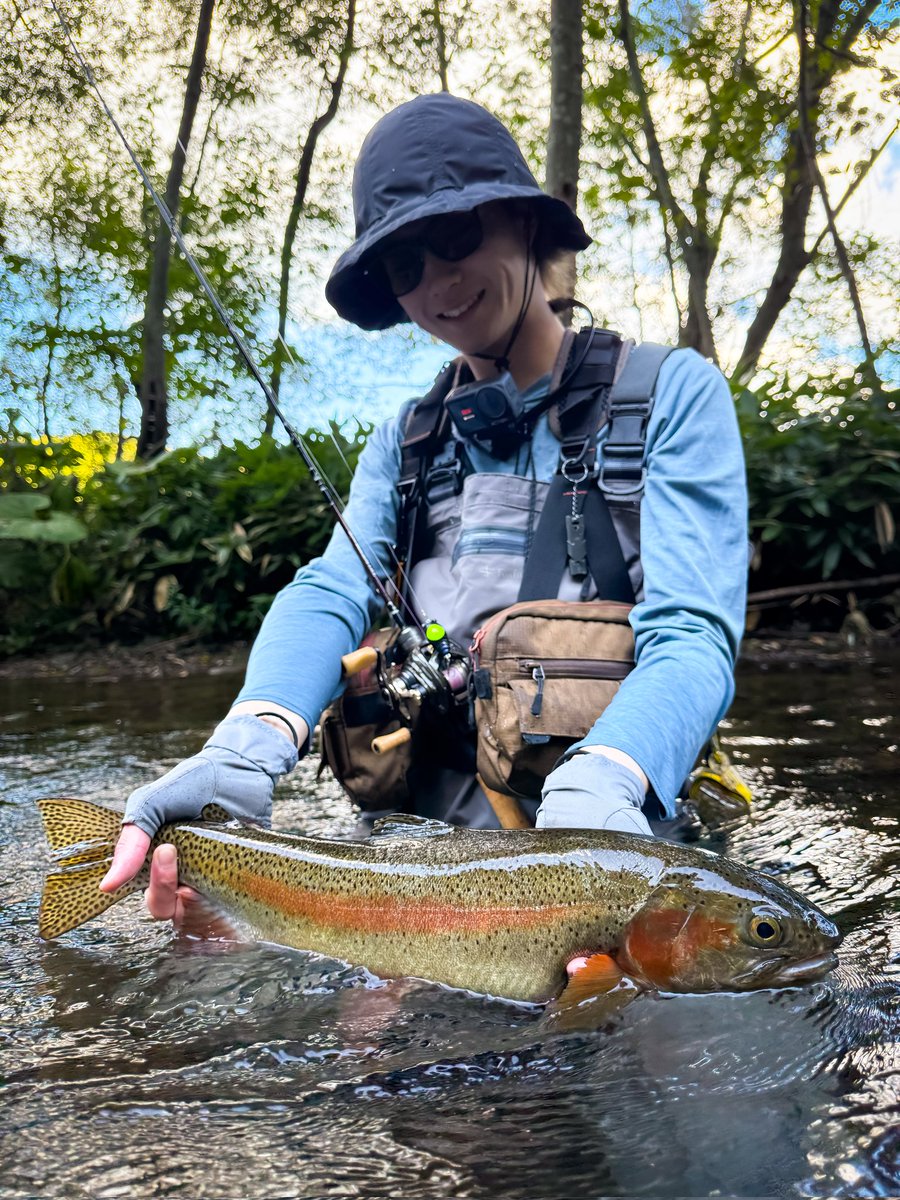 渓流 fukuyama_20240905_eyecatch.jpg