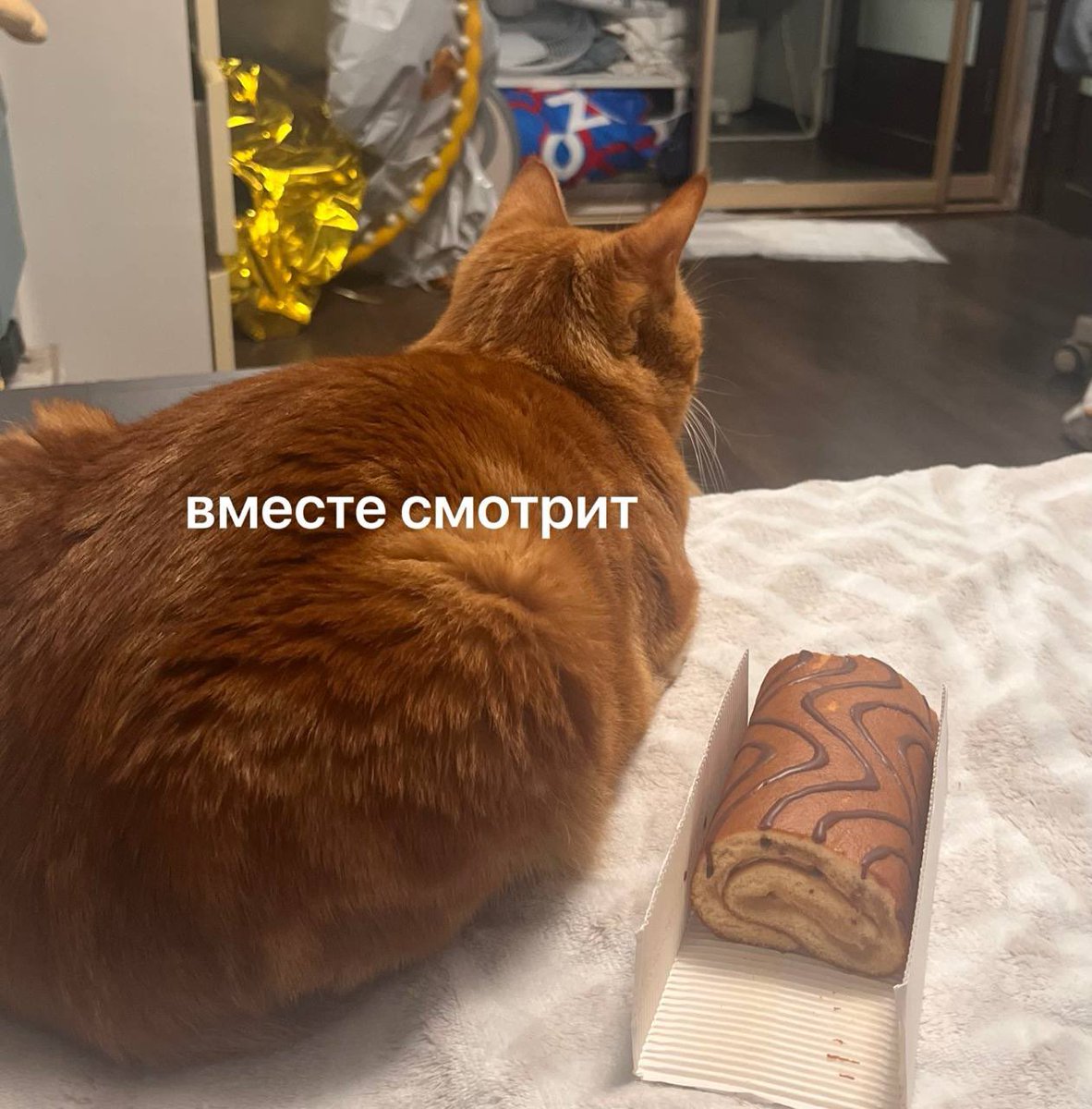 гусь гусёный🎧 (@se_nted) on Twitter photo 