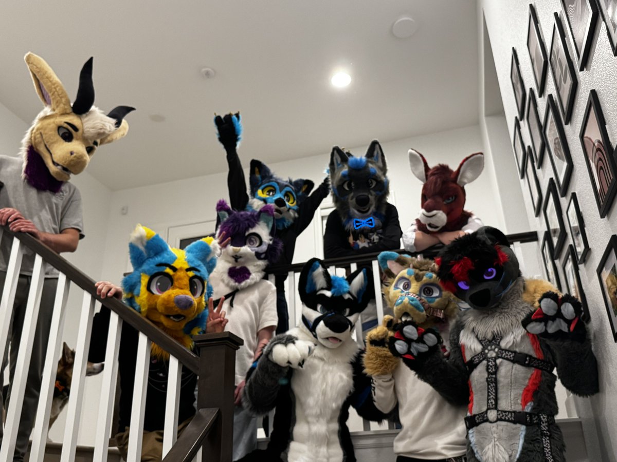 Atom the Wolf 🔜 LVFC tweet media