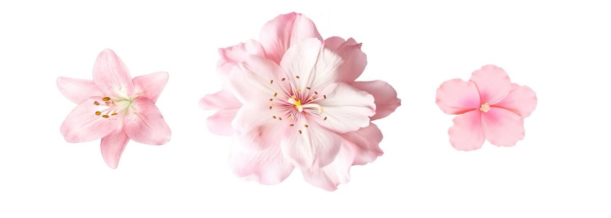 ْ (@heartzcore_) on Twitter photo 