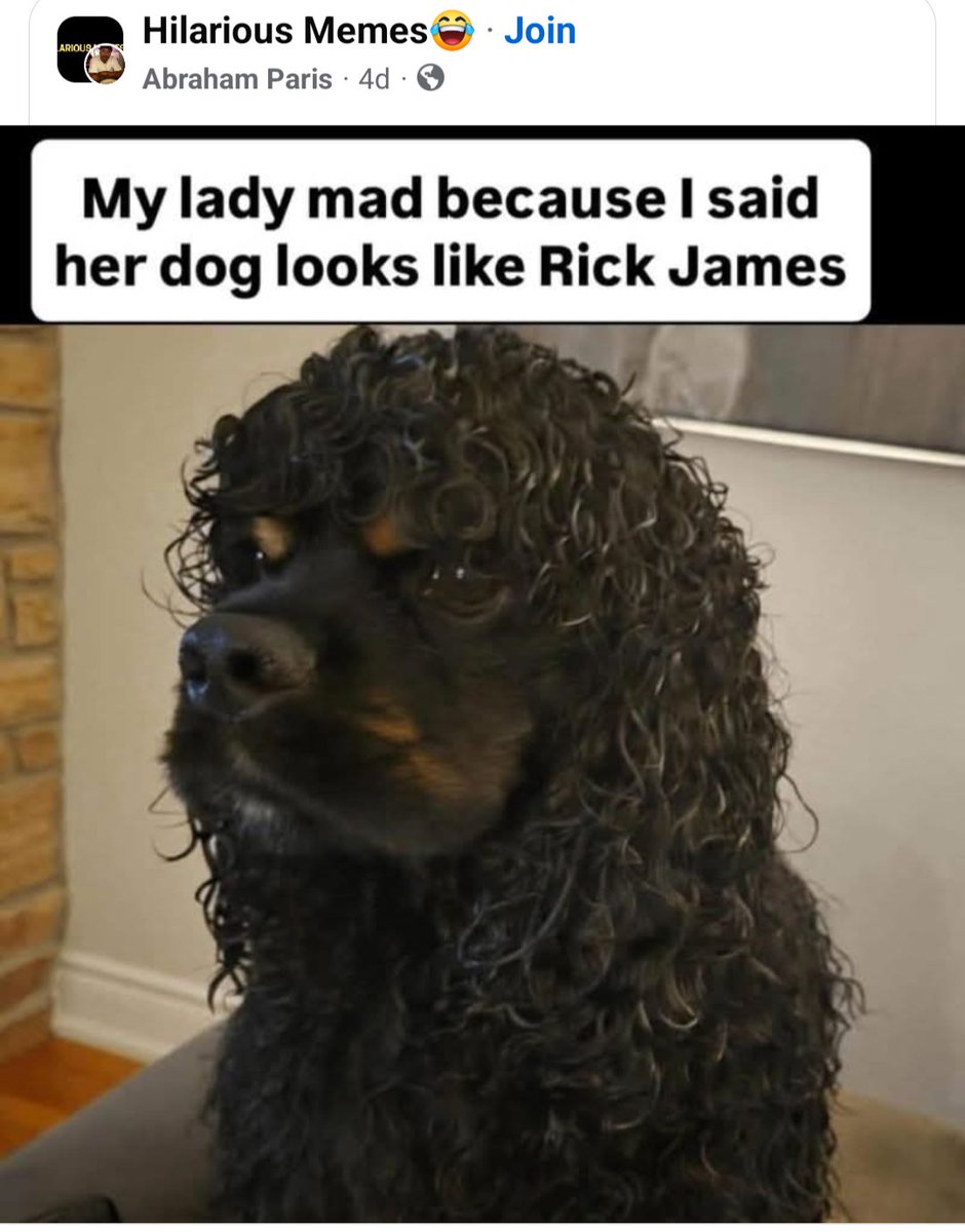 Andrew Harrison tweet media