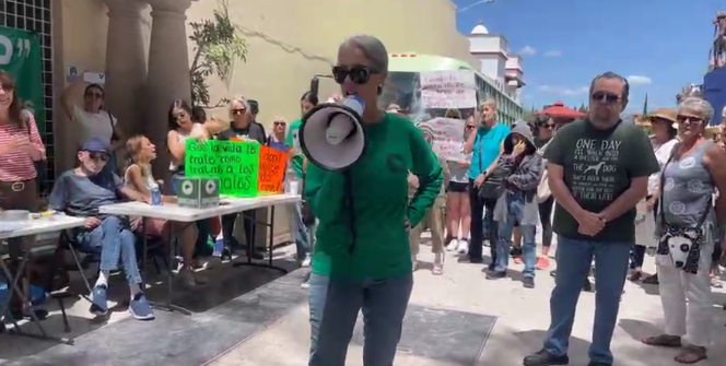 NewsSanmiguel's tweet photo. #MANIFESTACIÓN.- Piden la liberación de decenas de #perritos #atrapados en una finca que fue #desalojada por parte del Poder judicial😿😿😿🐶🐶🐶🐶
#SanMiguelDeAllende #perritos @LibiaDennise @FGEGUANAJUATO @aguagobgente  #luckydogs
https://t.co/MYR7WjJsw1👈 https://t.co/o5H7454nXU