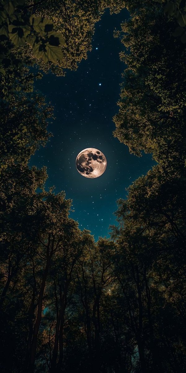 Kaderi ancak dua değiştirir."
| Hz. Muhammed (s.a.v)