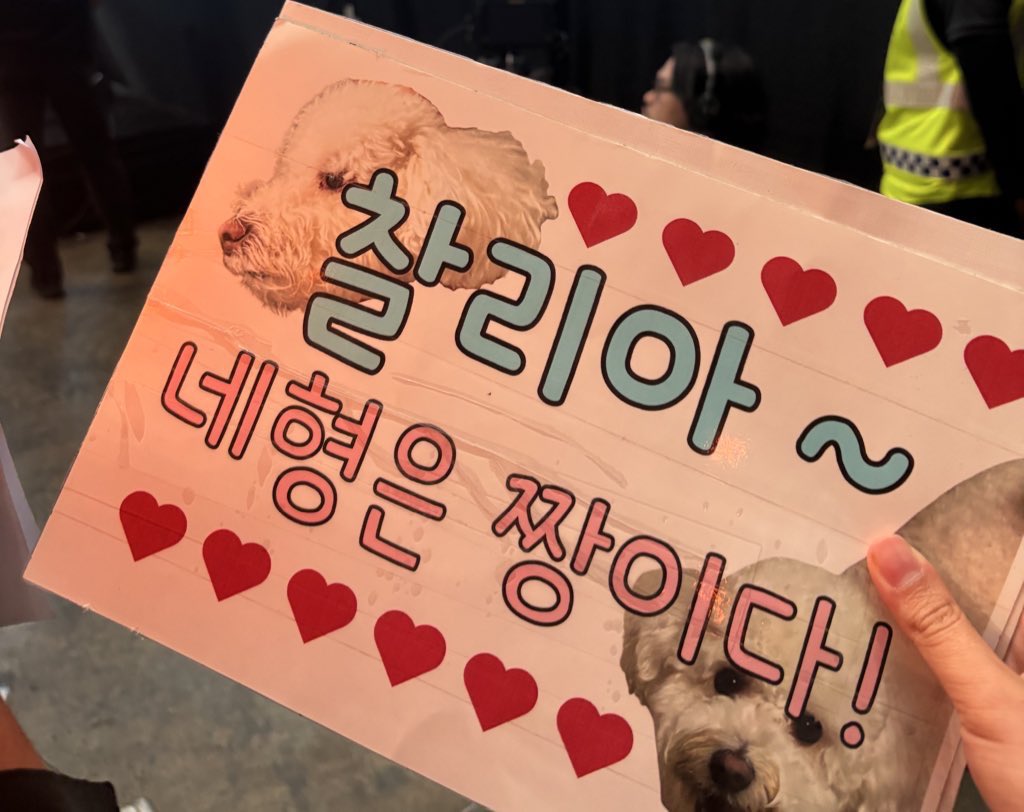 . 𝓎 ☘︎ ݁˖ tweet media