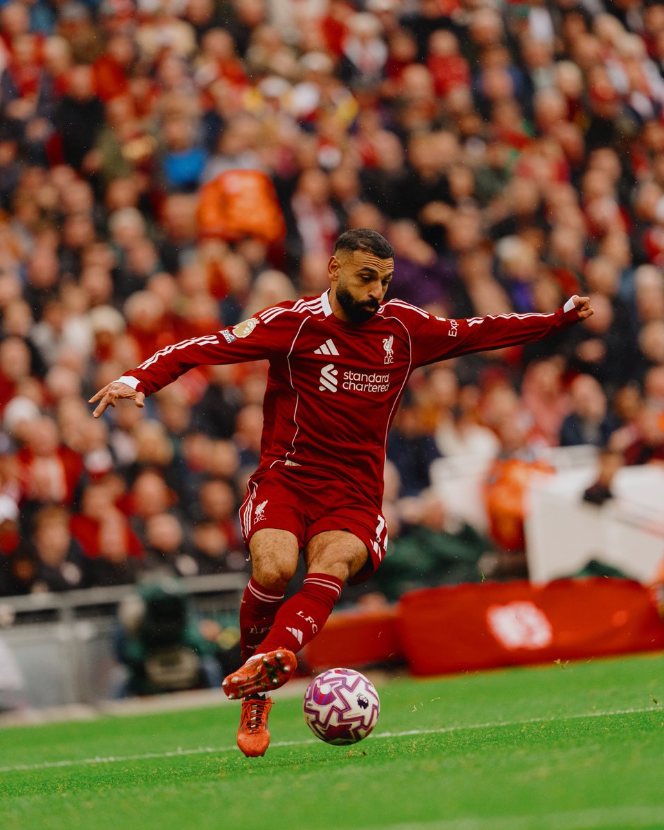 Steven Halliwell (@stehalliwell_) on Twitter photo 