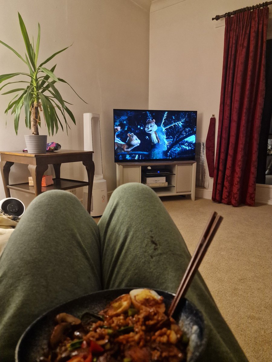 char siu pork rice bowls and Alvin and the chipmunks