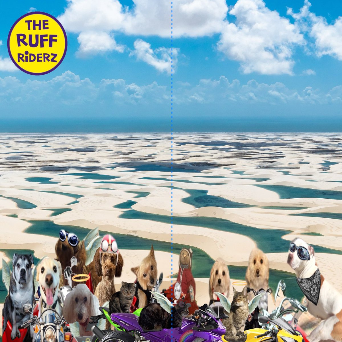 theruffriderz's tweet photo. There are over 20 UNESCO World Heritage Sites in Brazil. I hope I chose the right one! #teamclare #theruffriderz 4 https://t.co/o4RMmgYkEM