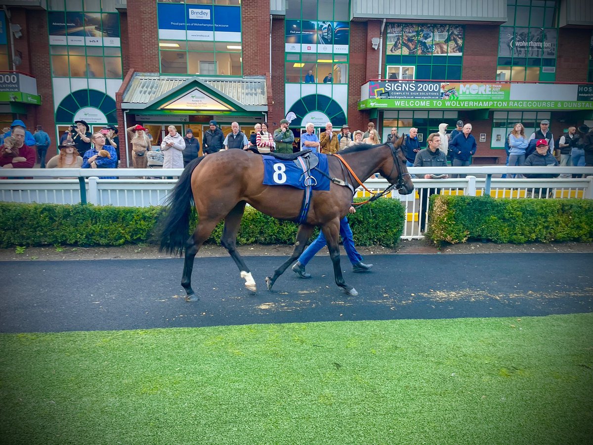 𝐫𝐚𝐜𝐡 🐴 tweet media