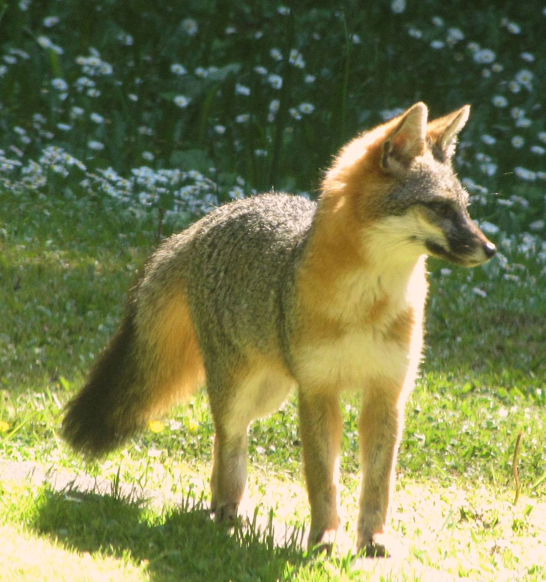 JordanΘΔ//edtwt tweet media