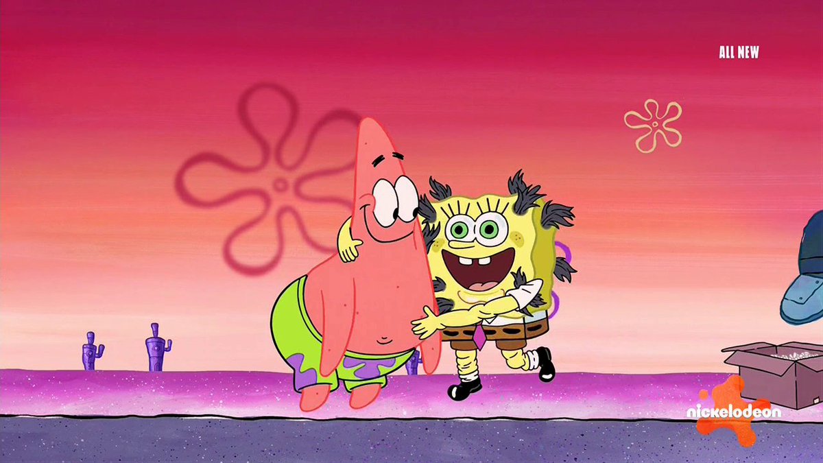 SpongeDude tweet media
