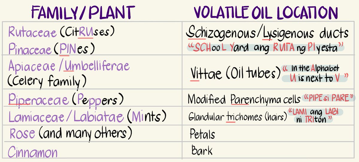 yenfluraneee's tweet image. M2: PHARMACOGNOSY WITH PLANT CHEMISTRY

📍 𝗩𝗢𝗟𝗔𝗧𝗜𝗟𝗘 𝗢𝗜𝗟𝗦 (Anatomical Sources)

#pharmacytwt #phle #studytwt