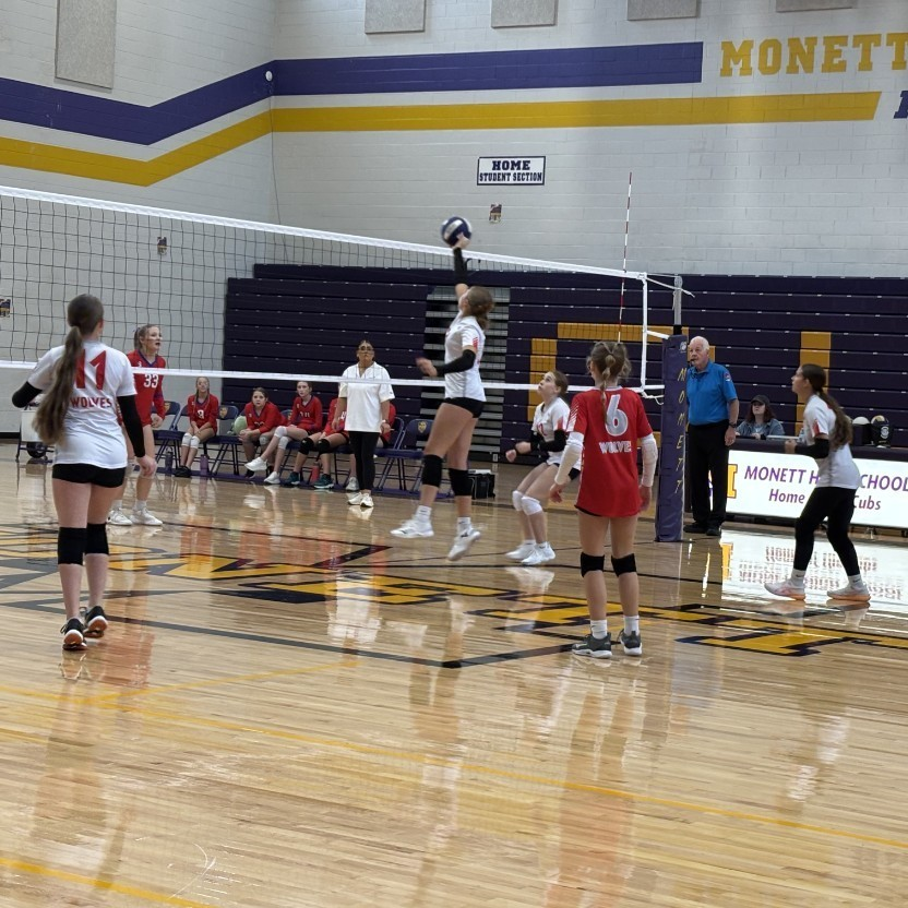 Reeds Spring MS tweet media