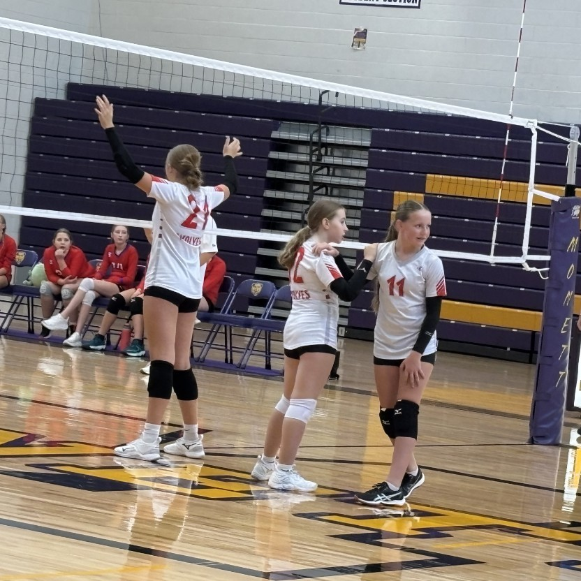 Reeds Spring MS tweet media