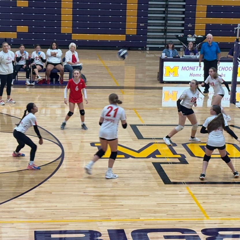 Reeds Spring MS tweet media