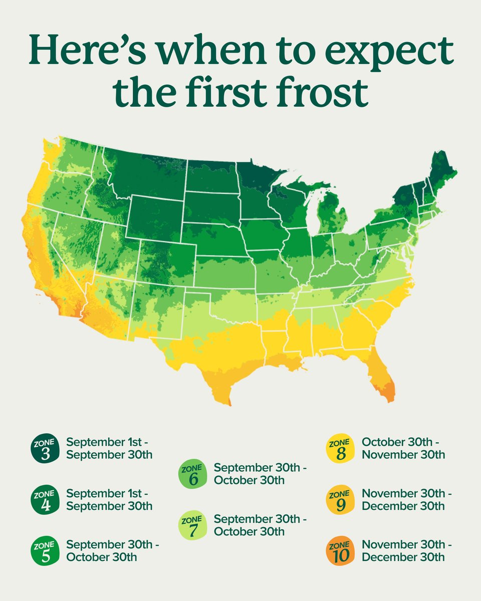 Planting season isn’t over 🌱🍂 Fall is actually one of the best times to plant! Cooler temps + seasonal rainfall help new roots settle in, so your trees and shrubs are ready to shine come spring. 🌸 

Get plants delivered → bit.ly/3TAi2K2 📦🌳