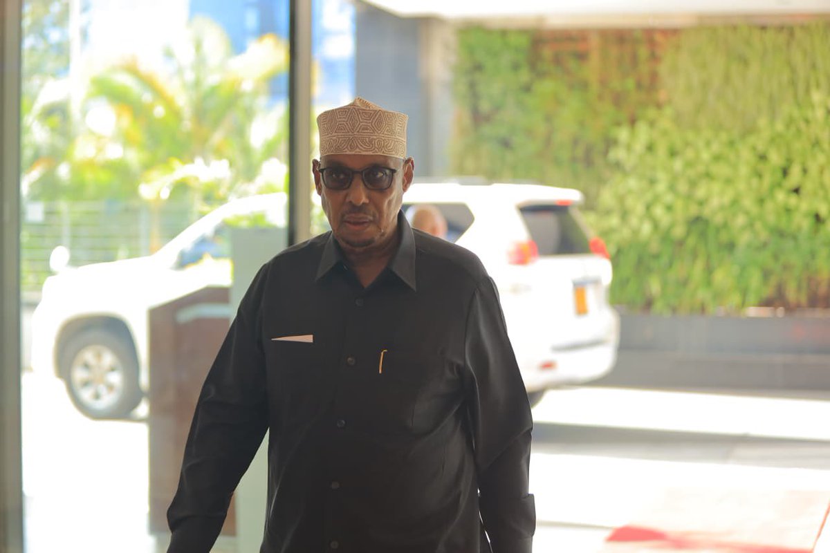 Amb(Eng) Mohamed M. Mahamud,CE, MIEK,CBS tweet media