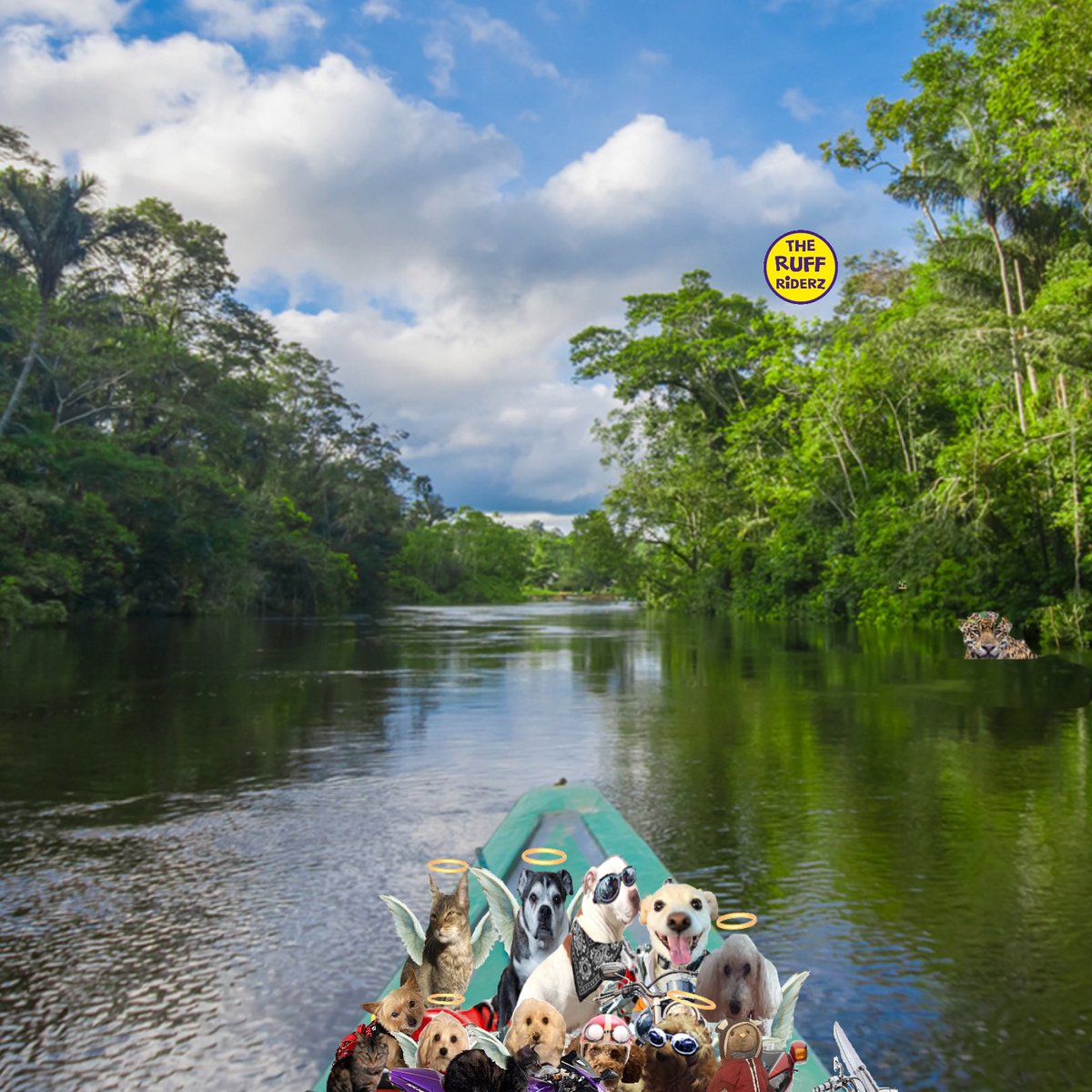 theruffriderz's tweet photo. Do yโall see what I see? Huddle up close, try and keep quiet DO NOT FALL OVERBOARD!!! #ุงููุตุฑ_ุงูุฑูุงุถ teamclare #theruffriderz https://t.co/BMtUKHBs3o
