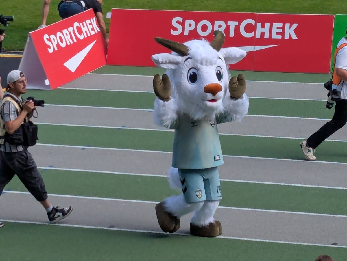 Not. A. Giraffe. Or a crow. #SunnyTheMountainGoat