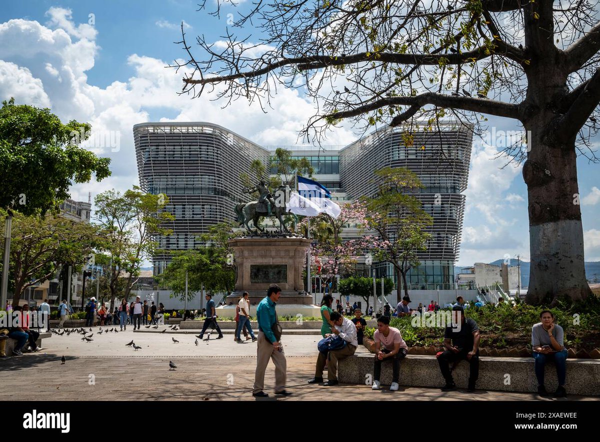 XLERBonX's tweet image. So why don&apos;t you see any Bitcoin used on the street, in front of the National Library?