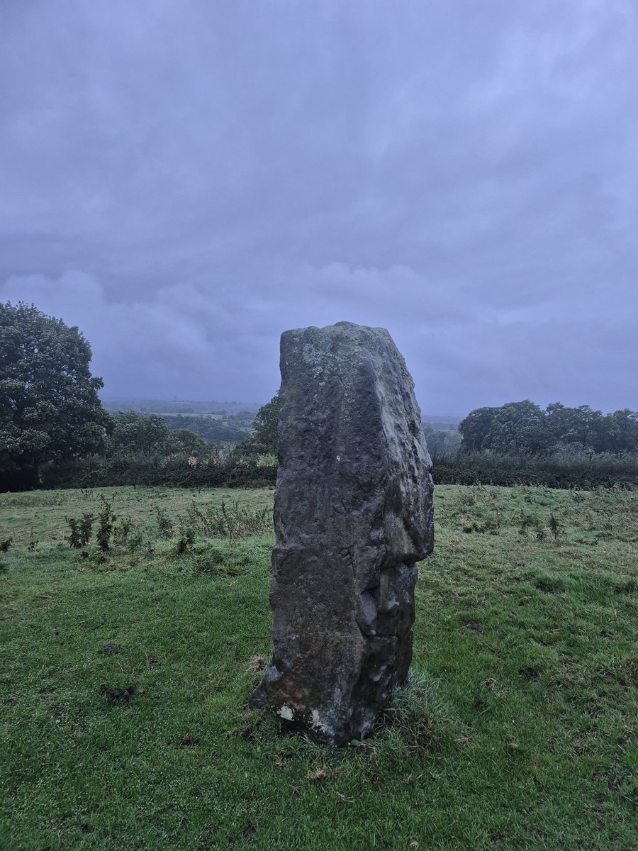 Vitalstatistix1's tweet image. North Yorkshire moors earlier this evening.