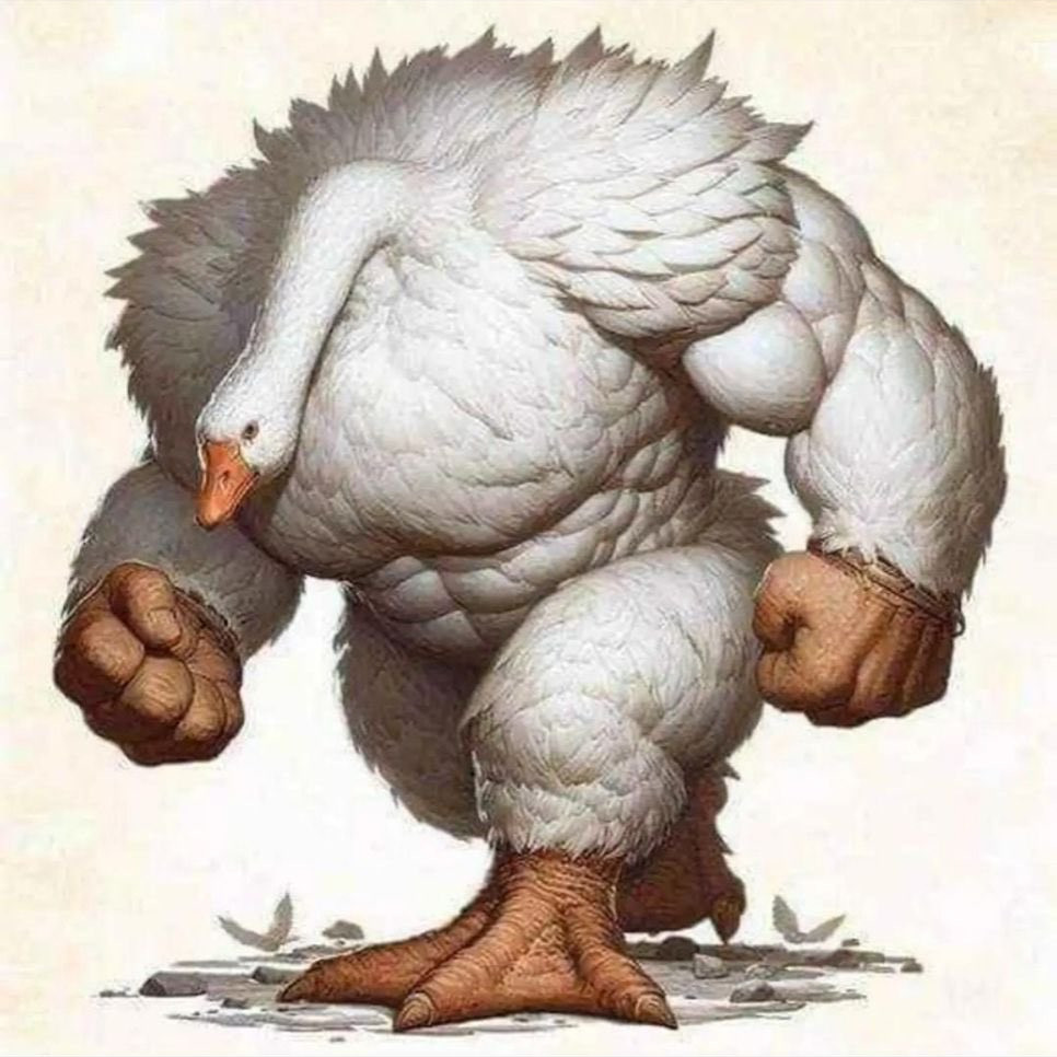 halborski's tweet image. September Bo Naylor