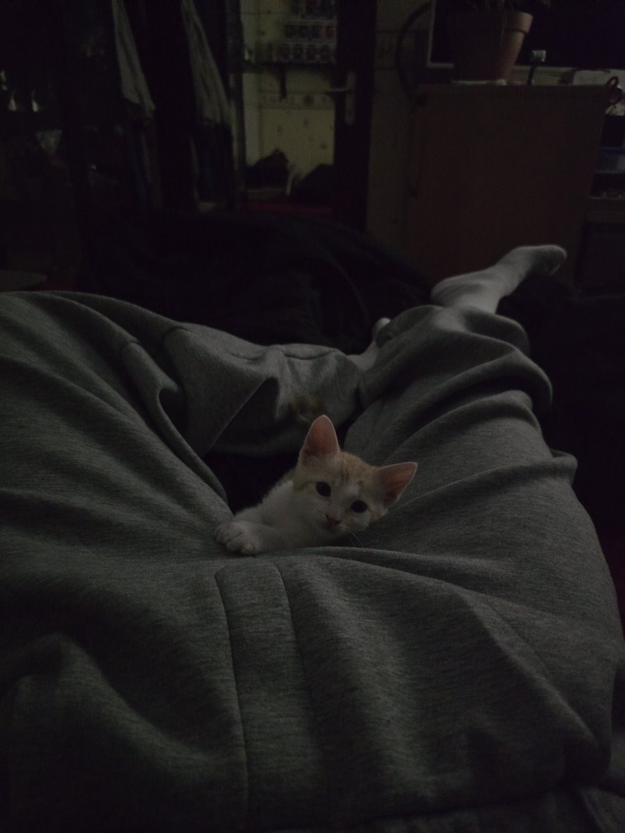 Kallans & Weasley tweet media