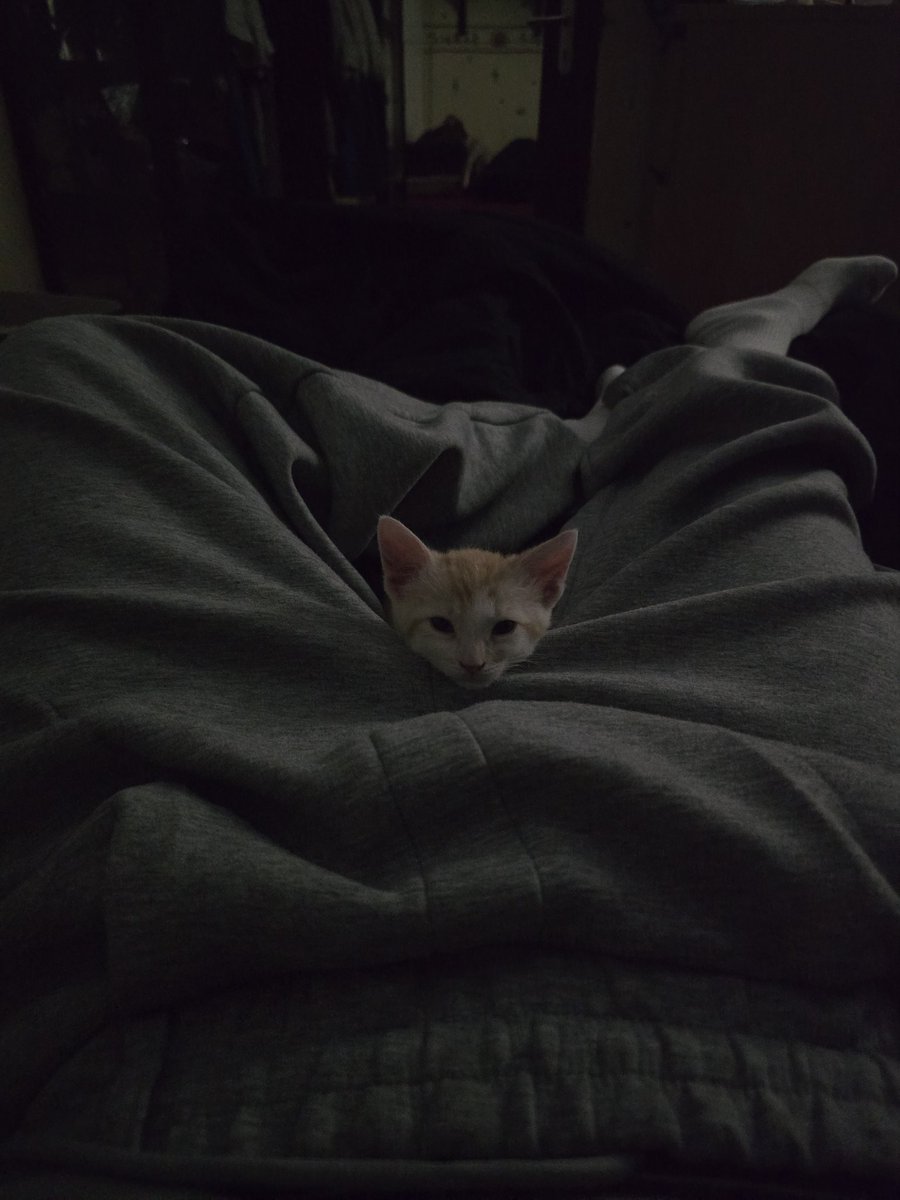 Kallans & Weasley tweet media