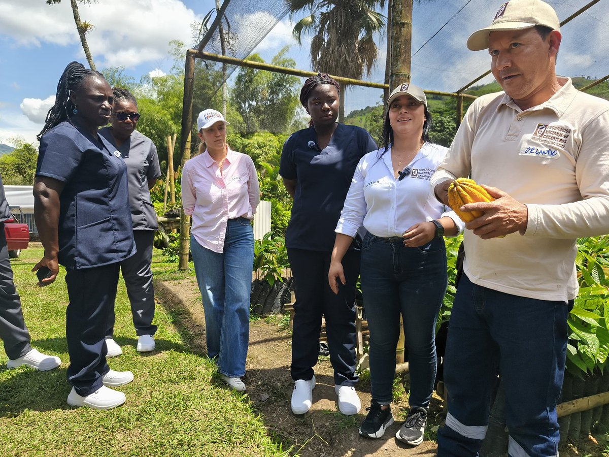 tillyakuanipaa's tweet photo. Cocoa Mmaa Goes Viral!

The Founder of Cocoa Mmaa, Madam Leticia Yankey, and 6 other Ghanaian female cocoa farmers were invited by the office of the Vice President of Colombia to Mentor Women Cocoa Producers in Colombia. @ViceColombia @fedecacao @Fondo_Mujer @ghcocobod 

 #cocoa #cocoafarming #womeninagriculture