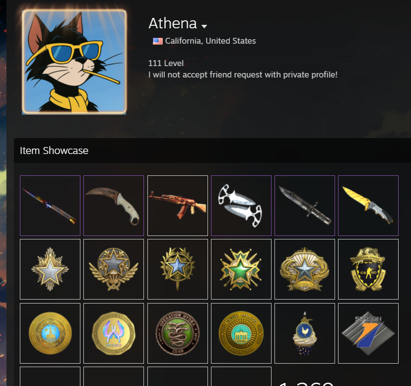 Eric_CSSkins's tweet image. Usually I don&apos;t look into this and just delete the screenshot comments but these 2 have easily over 2k in skins. One is fully private, the other ALL items are invisible except medals. 

I can&apos;t be the only one who finds this weird, right?