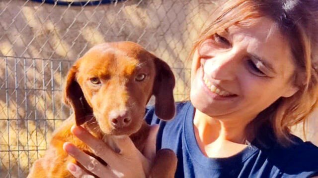 Mercatino dei giocattoli solidale: ogni acquisto aiuta un cane meno fortunato quicomo.it/eventi/mercati… - Tanti bambini dal cuore nobile hanno donato i propri giochi per aiutare i cagnolini bisognosi.