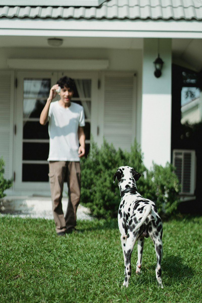 kninepets's tweet image. Pick your pup’s favorite toy 🎾, let the fun soar 🐕💨, and always play safely for a happy, healthy pup 🐾❤️

kninepets.com

#FetchFun #DogPlaytime #HappyPup #Zoomies #DogToys #PlayAllDay #SafePlay #ActiveDogs #HealthyDogs #PetAdventure