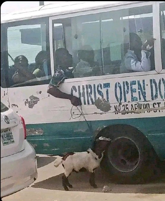 Conductor:  You'll pay 50k with your goat 

Me with my goat that runs the entire village