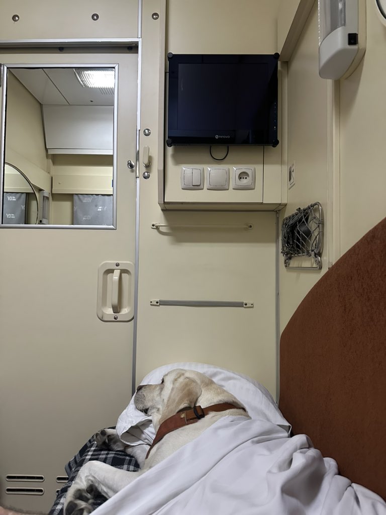 Розділила ложе з нею