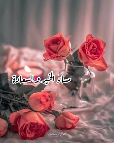 سفير الموت (@fof1774296) on Twitter photo 