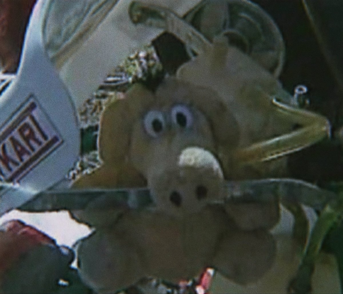 El cerdito de la suerte que usaba Seb en el karting, regalo de su papá🥺