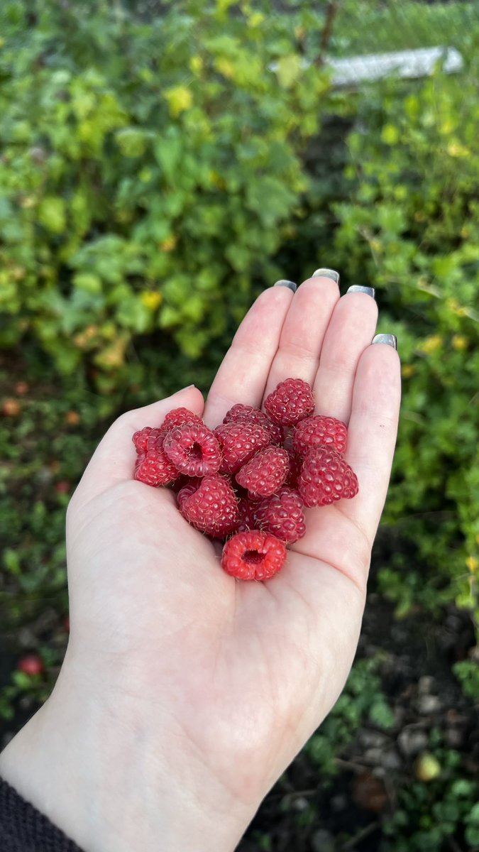 У бабусі❤️