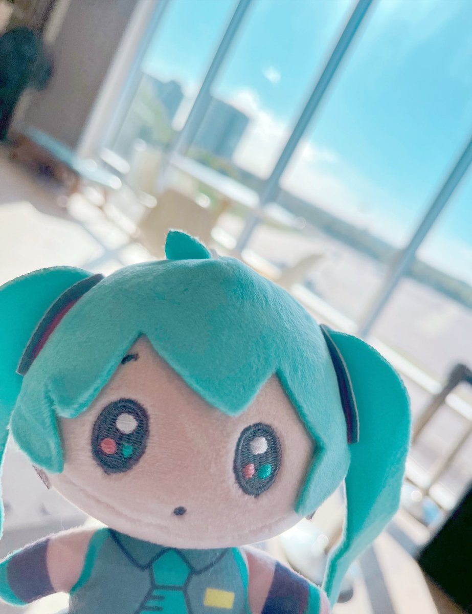 mikusagi01's tweet image. hello New Jersey :3