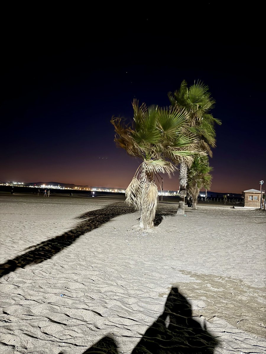 Kafa dinlemece ✨
#sahil #günbatımı #eylül #kitap #dostoyevski