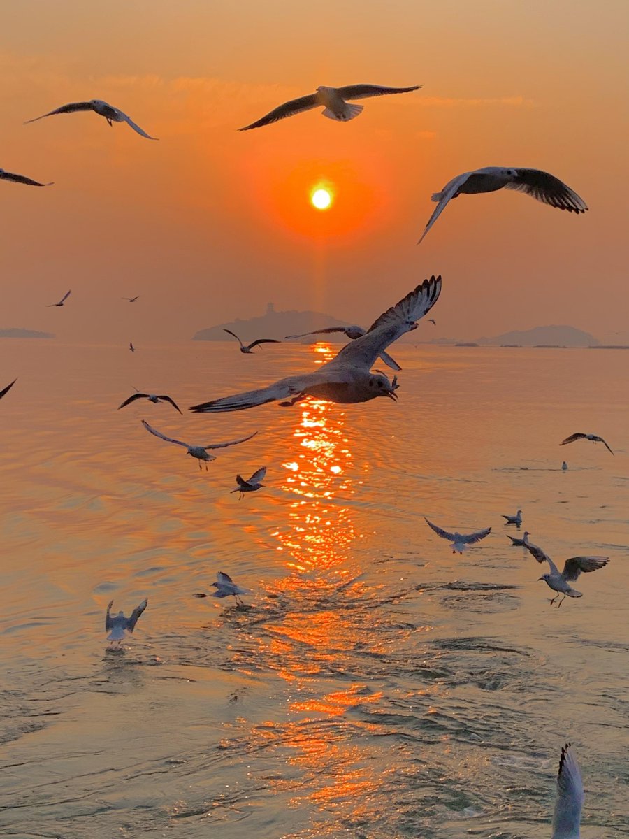 𝐌𝐚𝐫𝐲 tweet media