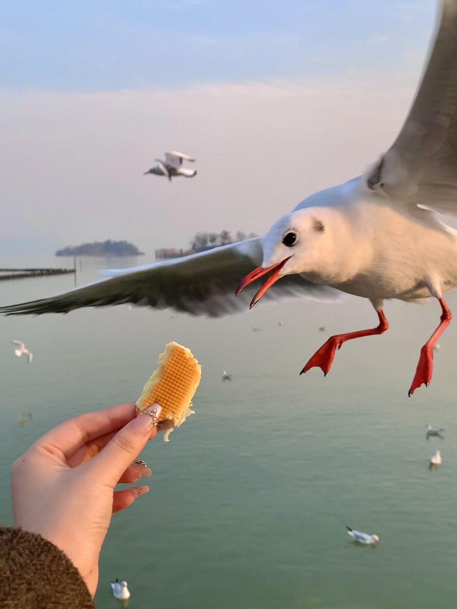 𝐌𝐚𝐫𝐲 tweet media