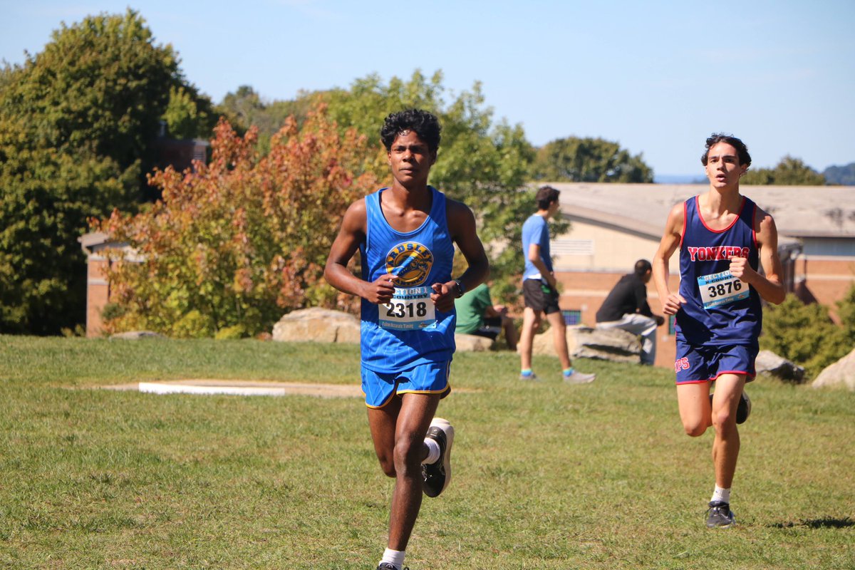 Ardsley Track & Field and XC tweet media