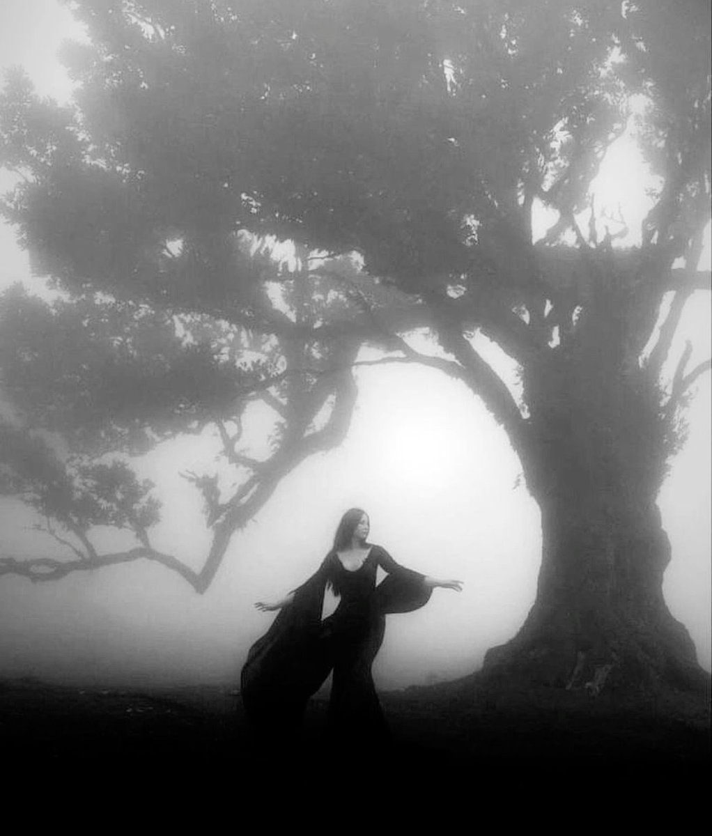 Black. (@blackdreamvibes) on Twitter photo 