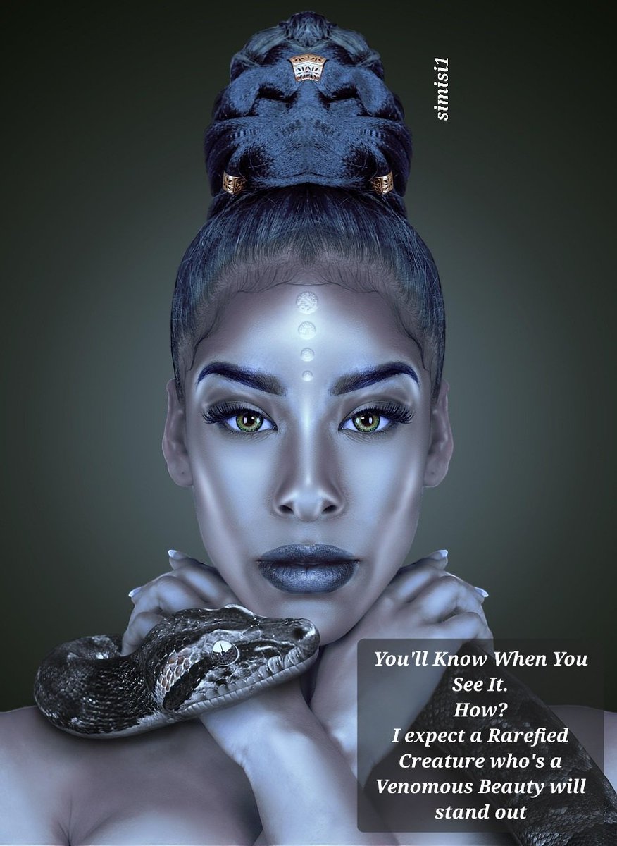 Morgan_R_R_Haze's tweet image. #DailyPrompt #Firewords 
You&apos;ll Know When You See It.
How?
I expect a Rarefied Creature who&apos;s a Venomous Beauty will stand out
simisi1 pixabay.com