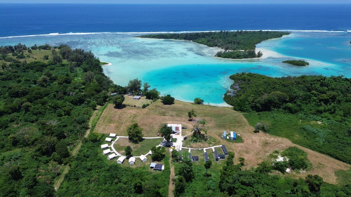 傅志彬Fu Zhibin tweet media