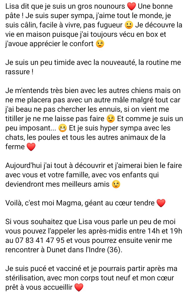 Magma est a l'adoption 🥰