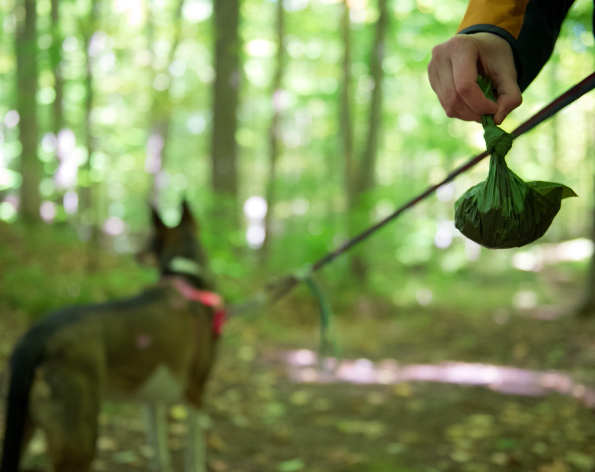 You don't like seeing it, and we don't like retrieving it. 

Please don't leave your dog's business hanging on trees. 
ontarioparks.com/parksblog/dog-… 

#actONlitter #CharlestonLake
