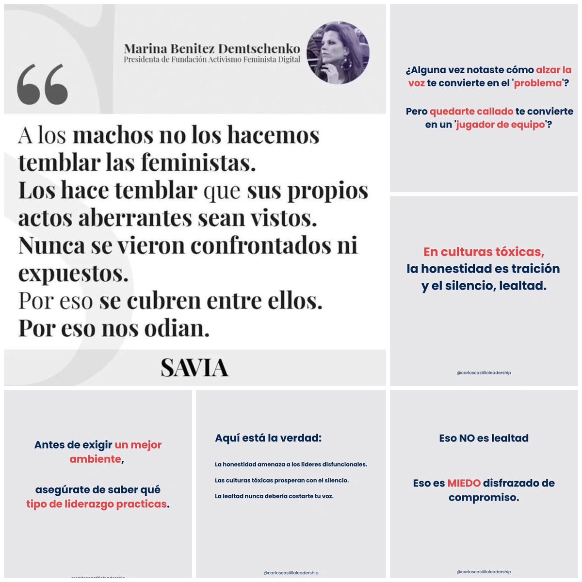 El falso aliado encarna  masculinidad patriarcal sofisticada, se apropia de luchas sociales históricas de mujeres, se victimiza con malestares emocionales, no asume coherencia ética política de respeto a DDHH de mujeres, a la igualdad sustantiva.
#PoliticaExteriorFeminista